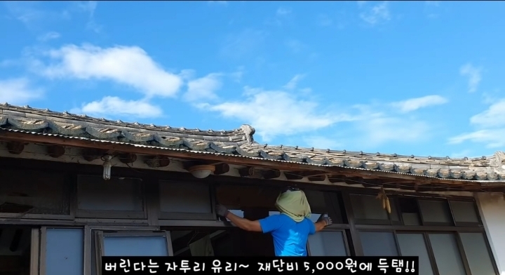 [매탈남] 고양이가 자꾸 방충망 뚫고 탈출함...jpg | 인스티즈