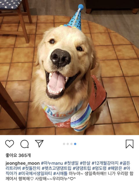 배우 문정희 반려견 마누 - 악플달면 쩌리쩌려버려 - ＊여성시대＊ 차분한 20대들의 알흠다운 공간 배우 문정희 반려견 마누