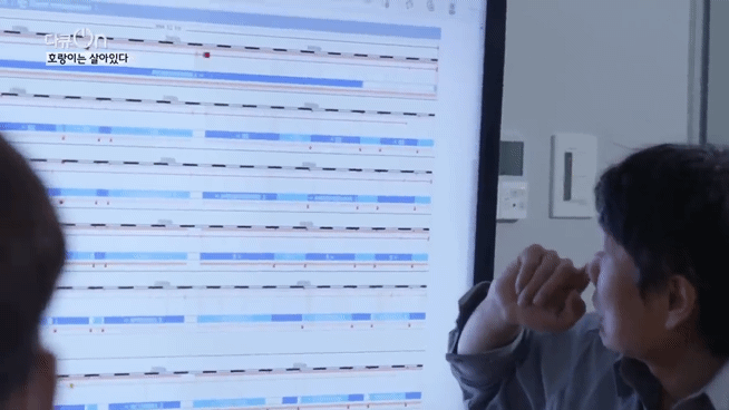 '절멸'의 '한국 호랑이'. 🐅 그 100년간의 이야기. -마지막- | 인스티즈