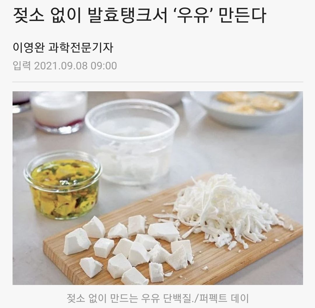 미국에서는 이미 젖소 착취 없이 실험실에서 우유 만드는 거 개발됨.jpg | 인스티즈