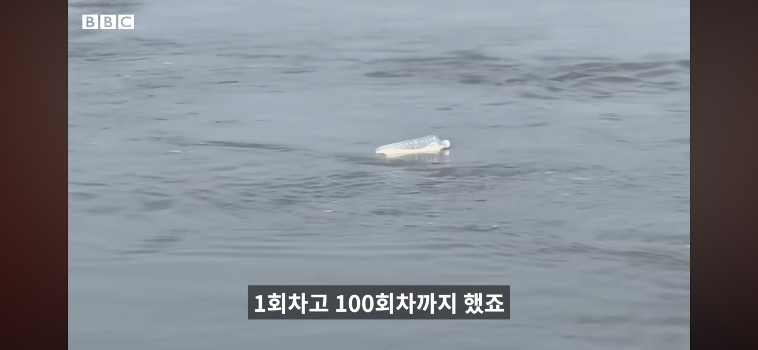 쌀이 든 페트병을 북한으로 보내는 사람들 | 인스티즈