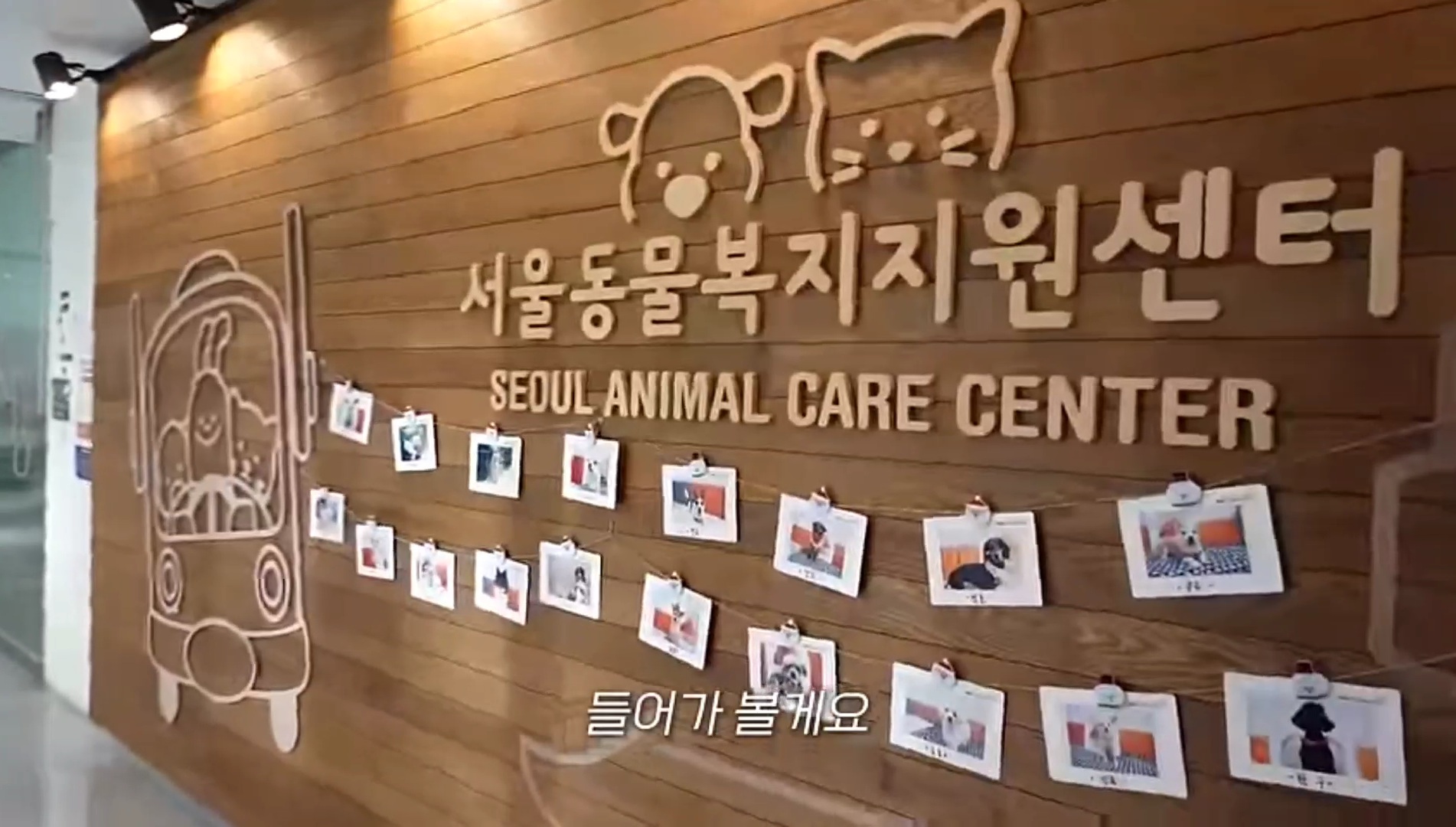 드디어 강아지 입양한 가비.youtube | 인스티즈