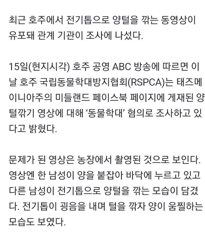 일부 사람들이 어그부츠 안 신는 이유 | 인스티즈