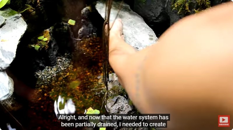 거대한 수조에 열대우림 환경을 조성해놓으면 생기는 일 - 4 | 인스티즈