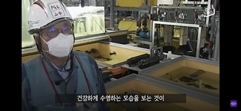 방사능 오염수에서 자란 맛 좋은 일본 광어 | 인스티즈