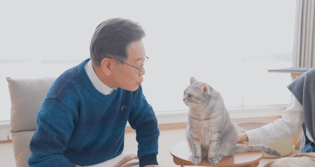 이재명: 주인보다 높은 자리인줄 아는 그런 자들이 잇습니다. 이게 딱 부뚜막에 올라간 고양이 같은거조~ | 인스티즈