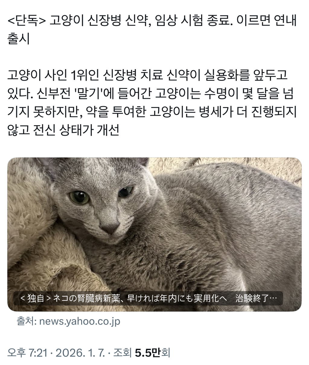 고양이 신장병 신약, 임상 시험 종료. 이르면 연내 출시 | 인스티즈