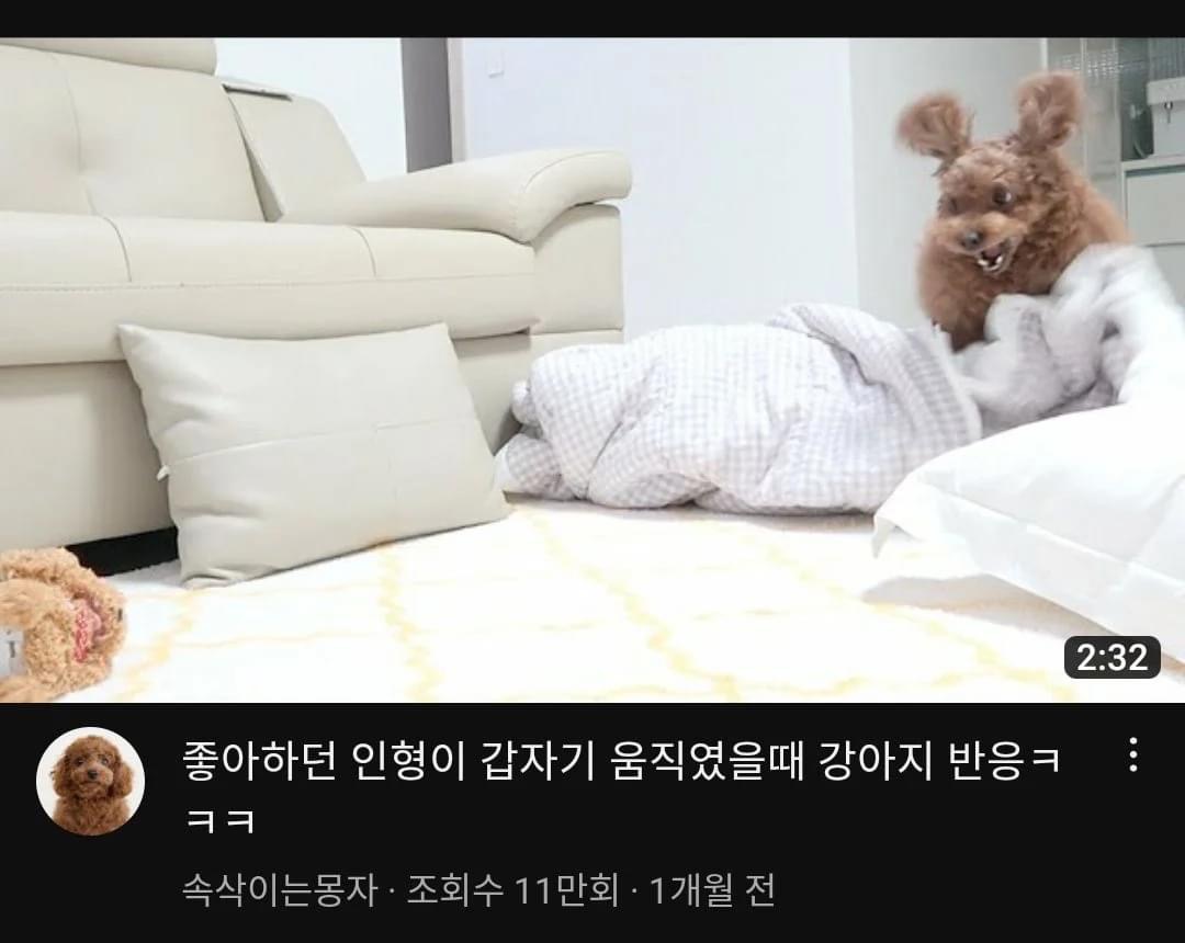 여전히 유튜브 썸네일 장인인 몽자 | 인스티즈