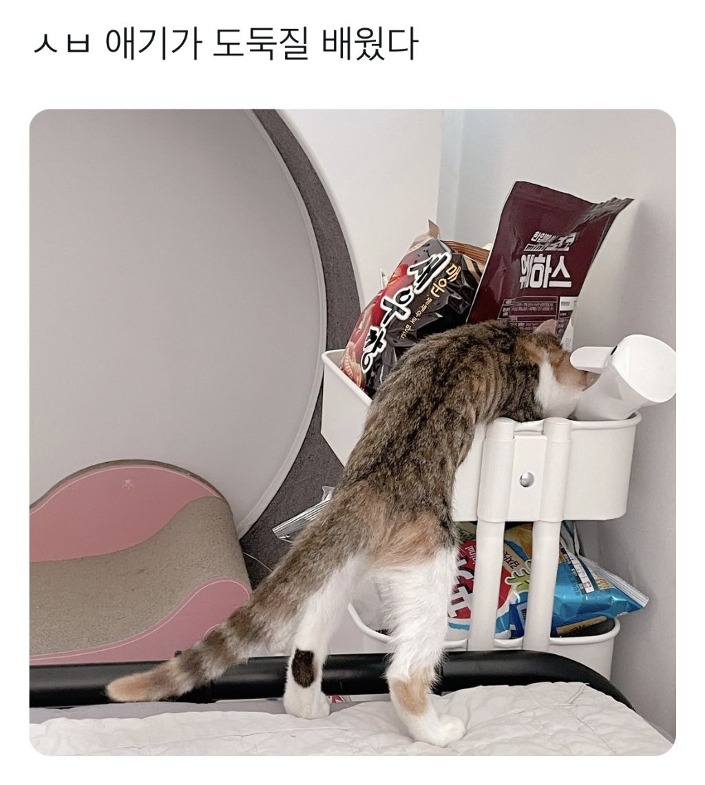 간식창고 이미지