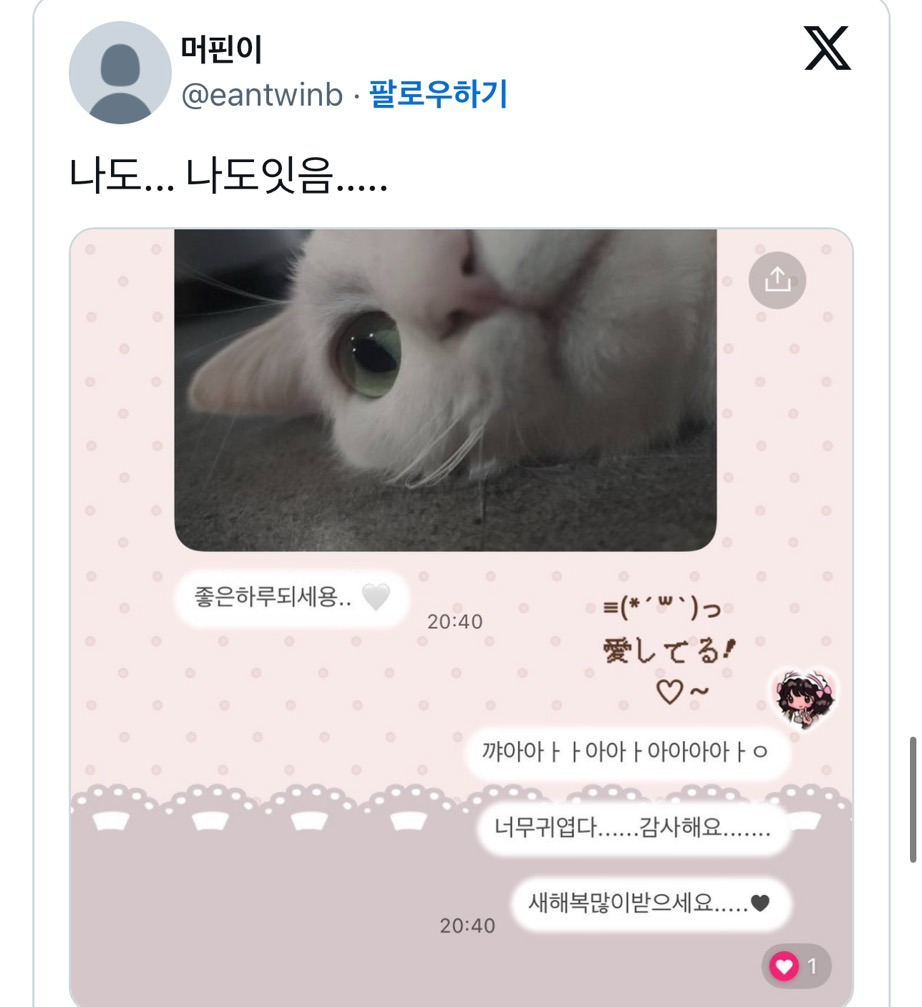 중고거래 구매자가 자꾸 이모티콘을 보내서 무서웠는데 알고 보니 고양이였음.twt (귀여우니까 보고 힐링해) | 인스티즈