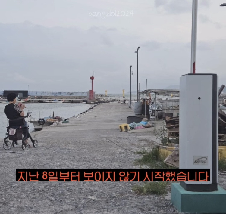 [입양홍보] 개장수에게 팔렸다 되찾아온 방치견 진순이·진돌이, 평생 가족을 찾아요! (부산/울산/전국) | 인스티즈