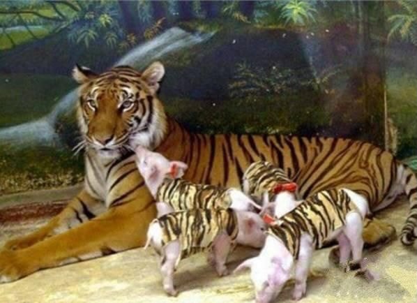 일반적인 상식을 뒤엎는 부모 자식 관계.jpg | 인스티즈