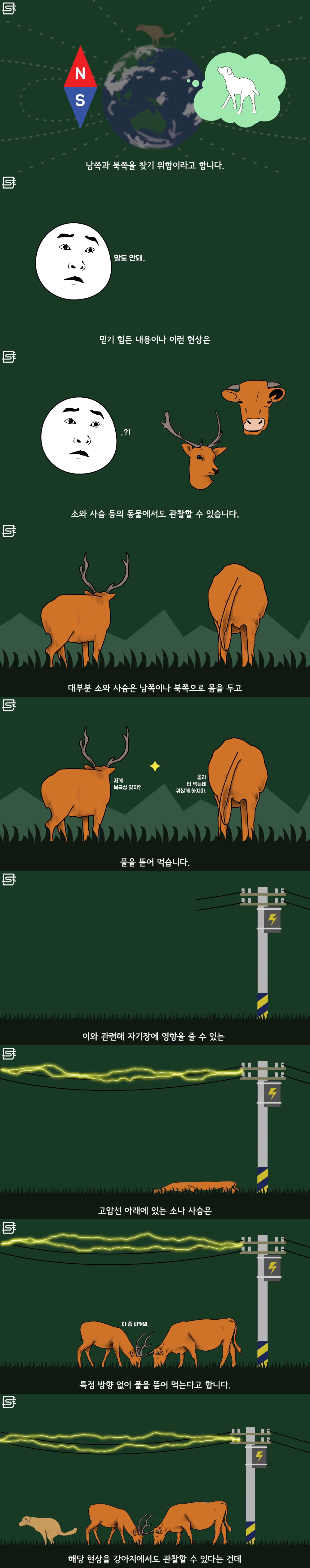 강아지는 왜 똥을 싸기 전에 빙글빙글 돌까? | 인스티즈