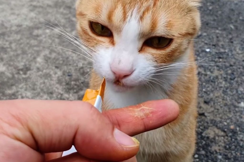 bd7798a04ce6792f2fecc09aee804a735e878c22