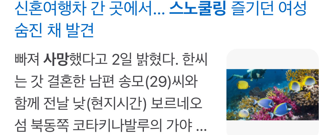 꽤나 있는 스노클링사망사건.. 다들 조심하자구ㅠㅠ | 인스티즈