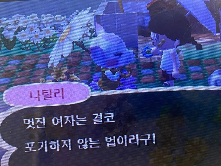 문장 뽑기: 인생에 힘이 되어주는 문장들이 들어있어요 | 인스티즈