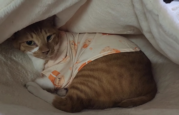 자기 아들 주려고 남의 딸 노는 거 뺏는 엄마;; | 인스티즈