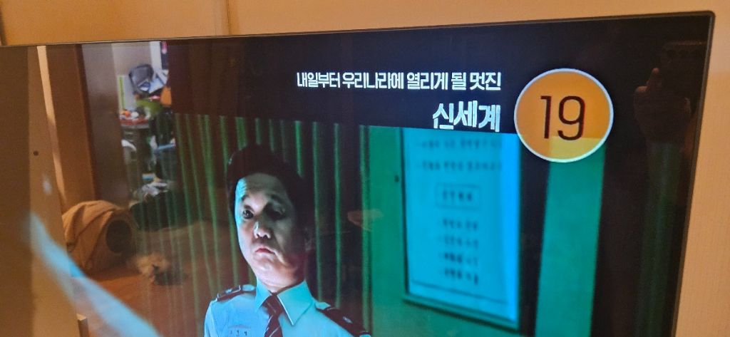 ocn편성표 노렸다vs안노렸다 | 인스티즈