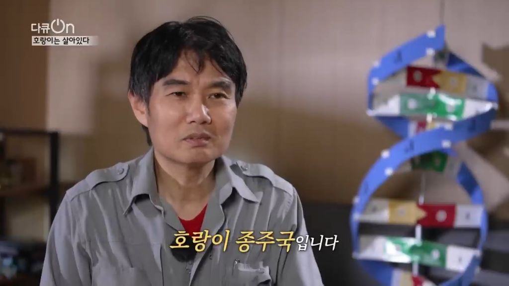 '절멸'의 '한국 호랑이'. 🐅 그 100년간의 이야기. -마지막- | 인스티즈