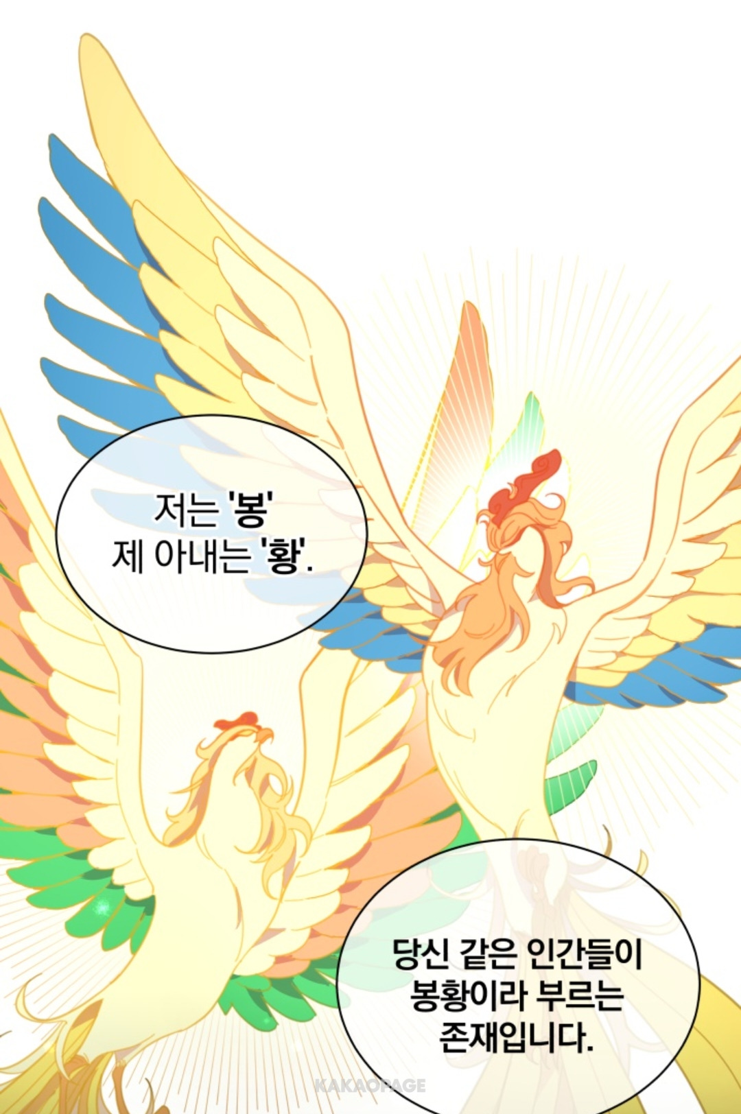 ㅇㅌ 저는 수의산데 용을 진료 하라구요??? | 인스티즈