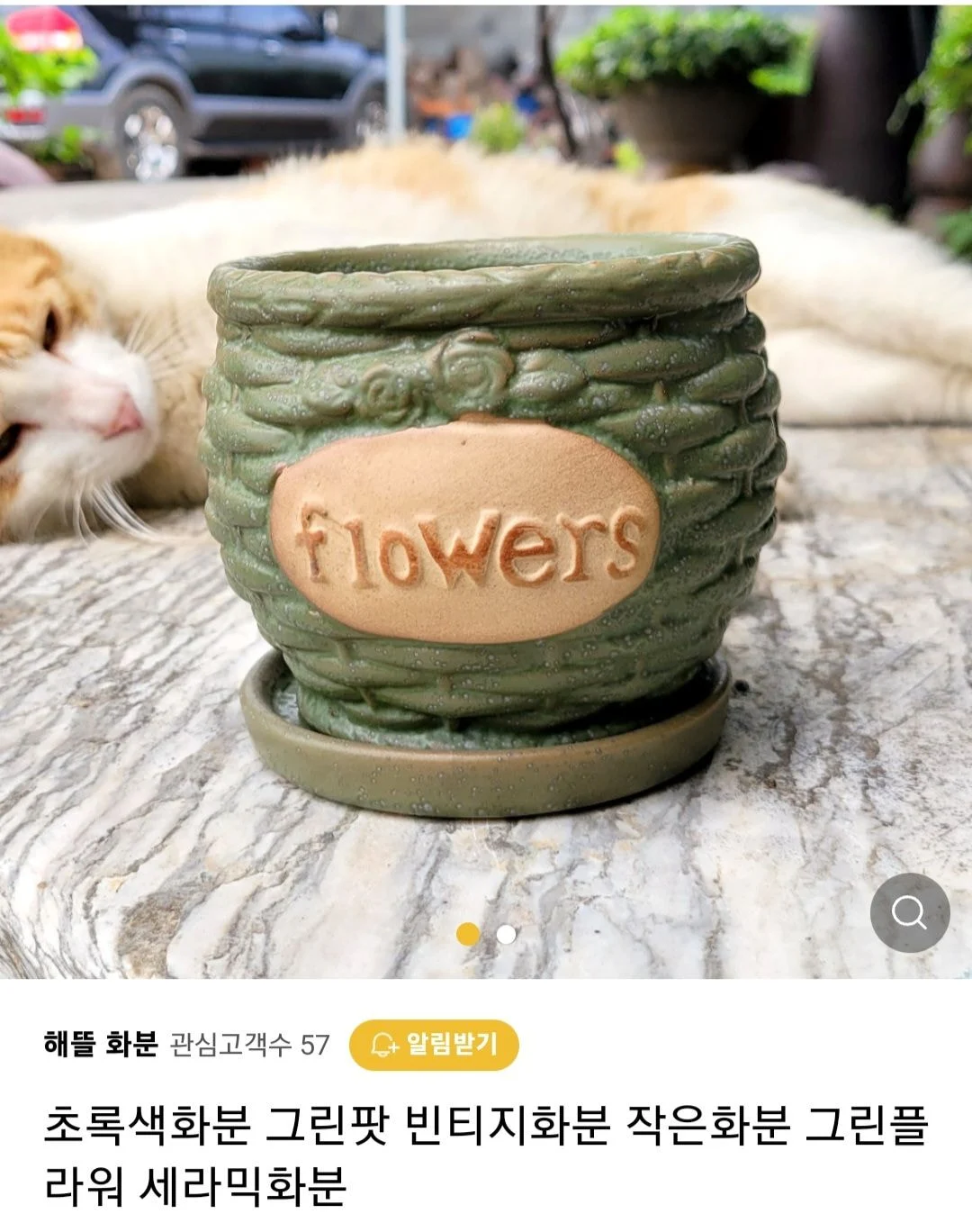 우리가게 물건 좋아요 고양이도 보세요 | 인스티즈