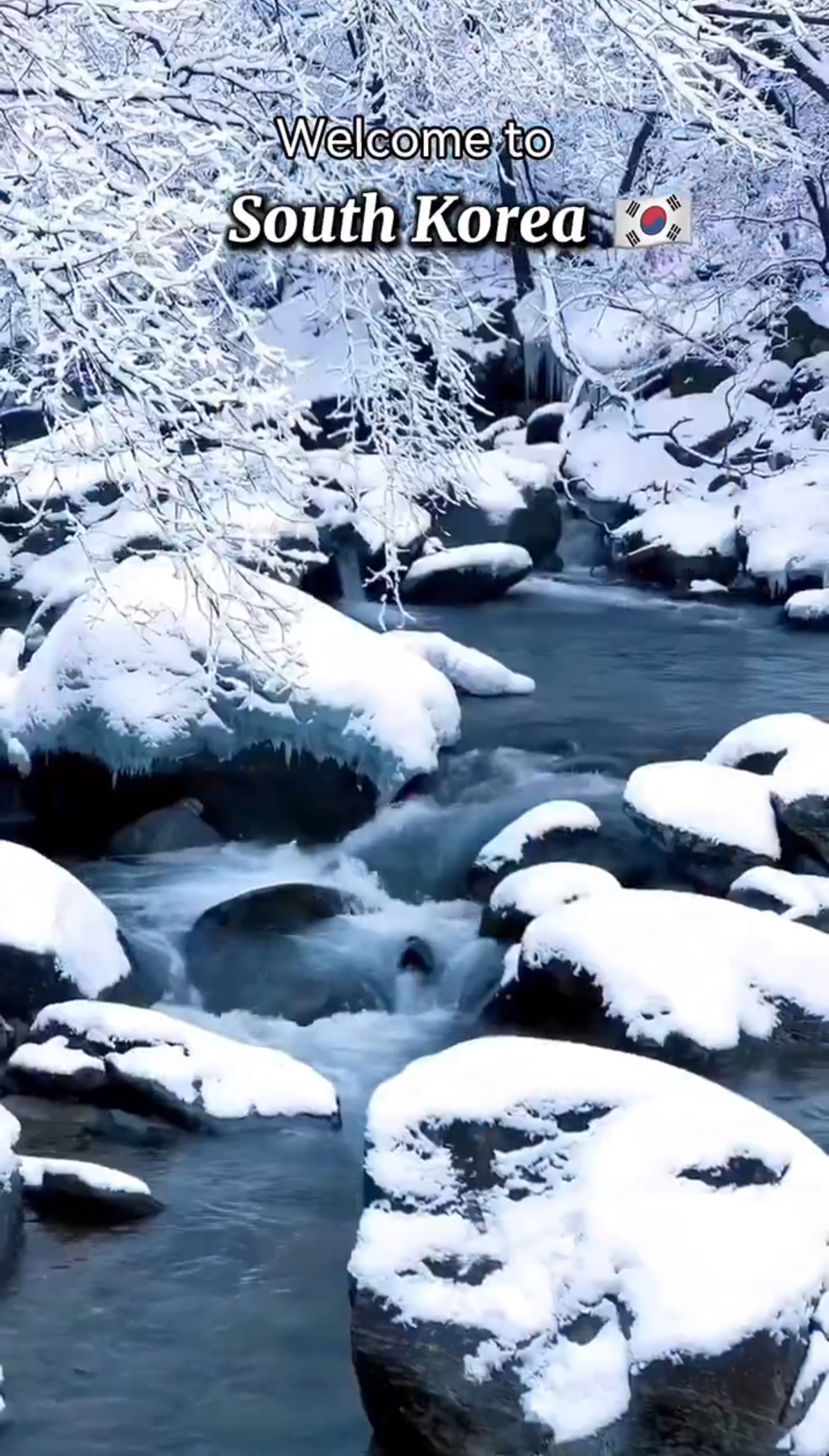 트위터에서 화제되었던 외국인이 소개하는 한국의 관광 여행지들 | 인스티즈