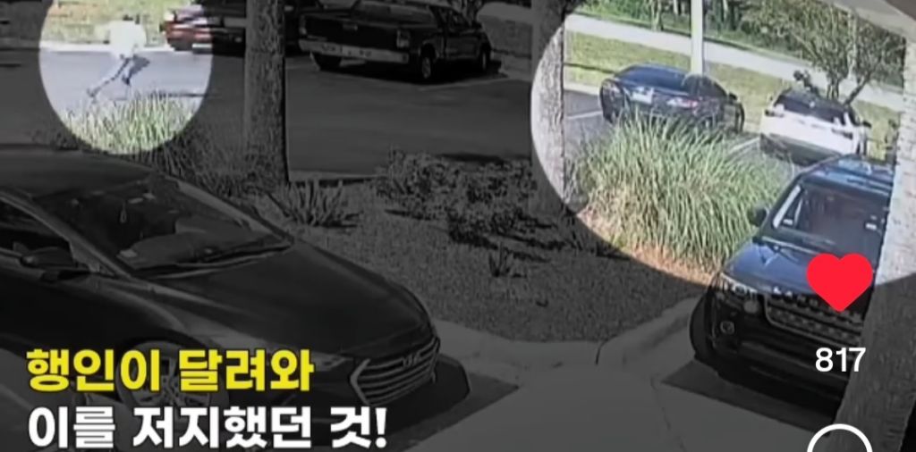 남자에게 칼 17번 찔리고 살아난 여자 재판결과 | 인스티즈