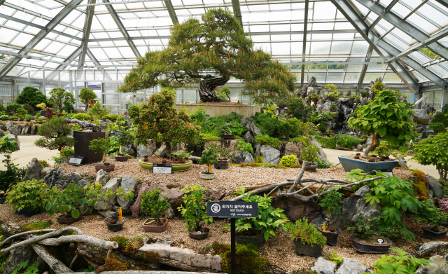 be58c015f06d92c0c1e96af48f543a6e9e91eff8