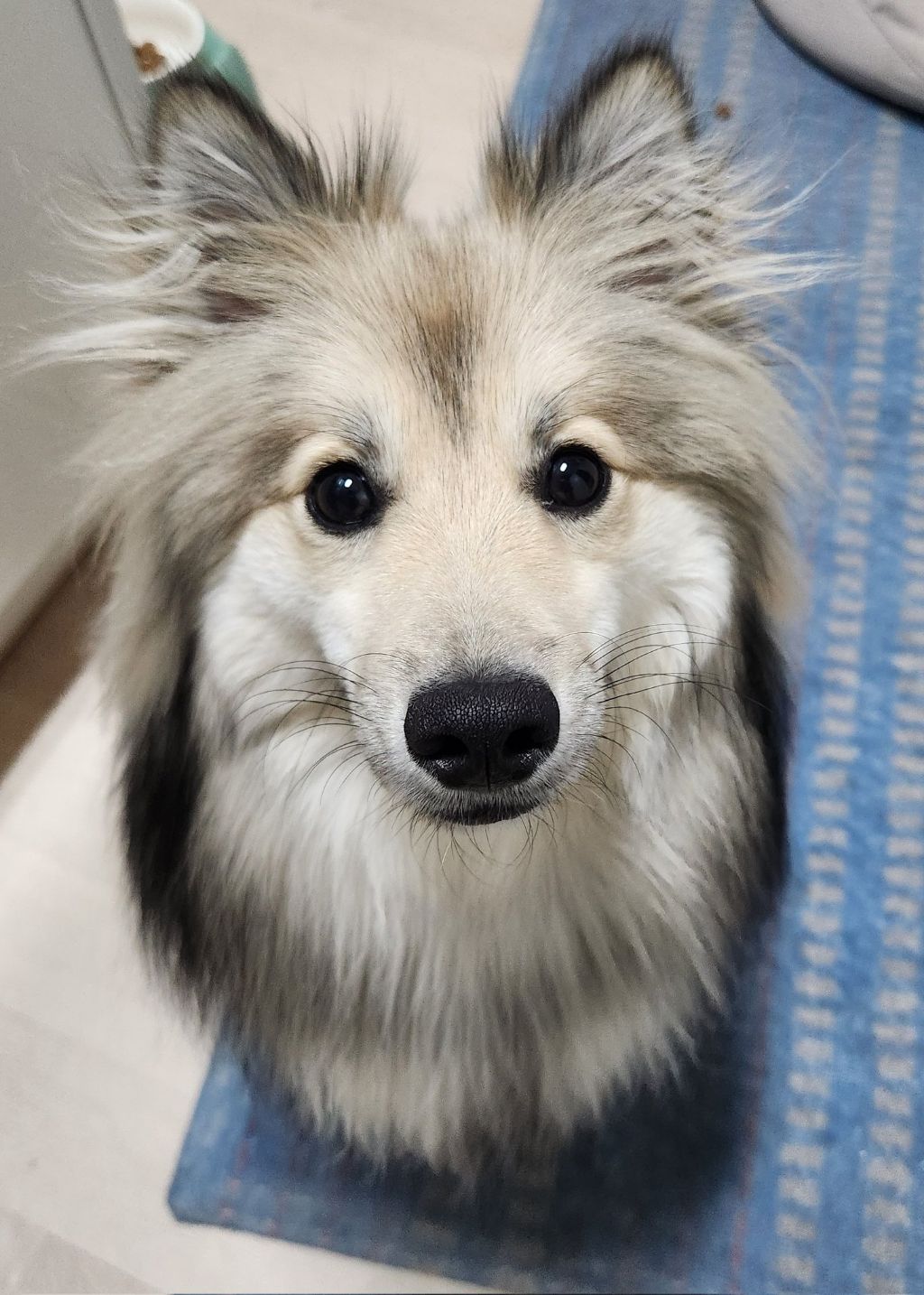 시장에서 만두 사는데 사장님이 잘생겼다고 만두를 더 줬어요 | 인스티즈