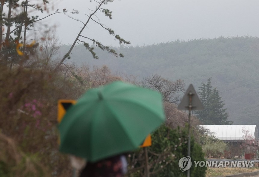 울주 산불 지역에 내리는 단비 | 인스티즈