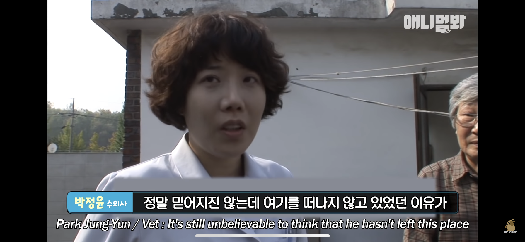 길고양이 목에 쪽지를 달자 생긴 영화같은 일 | 인스티즈