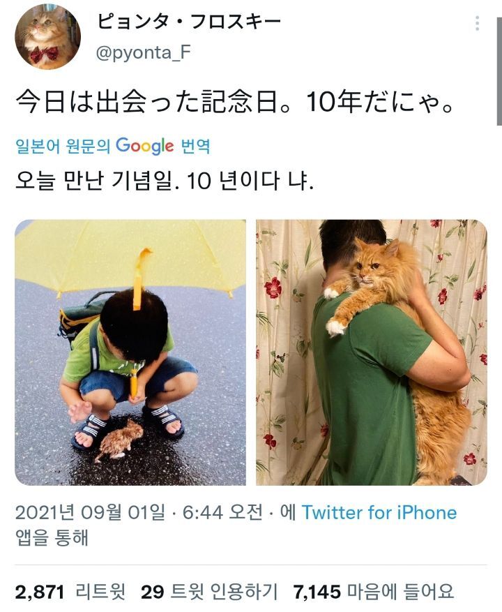 너를 만난 오늘 이미지