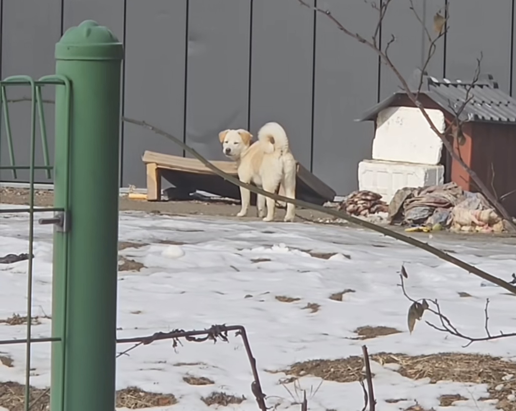 이사건 알아??정말 황당함ㅋㅋㅋㅋ | 인스티즈