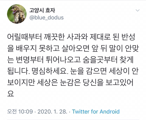 이것저것 인생 | 인스티즈