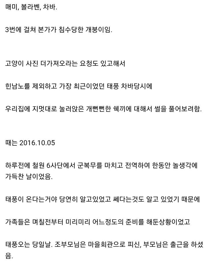 태풍 3번이면 고양이를 얻는다. jpg | 인스티즈