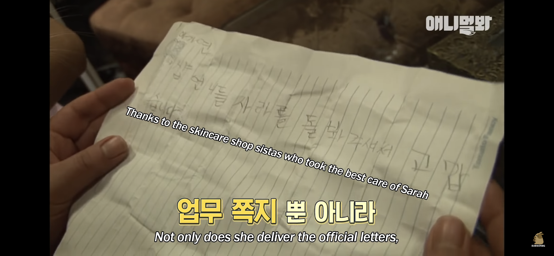 길고양이 목에 쪽지를 달자 생긴 영화같은 일 | 인스티즈