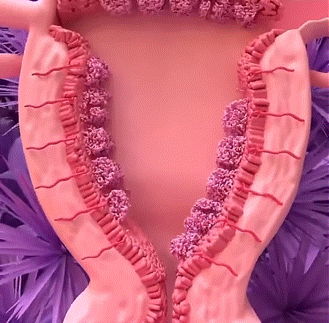 생리 교육자료로 완벽하다는 영상 | 인스티즈