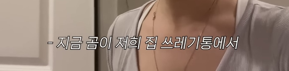 미국 이민갔는데 집에서 곰 나옴… | 인스티즈