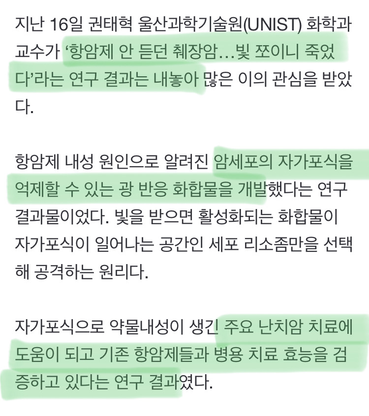 췌장암의 새로운 치료길 발견됐으나 "돈 없어 연구 지속 어렵다" | 인스티즈