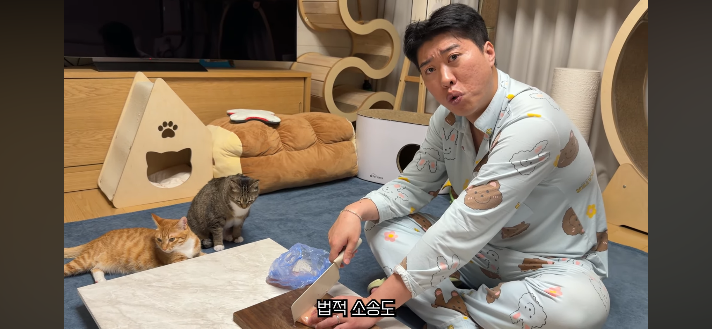 칠복이(0살 고양이)를 향한 악플 경고하는 언더월드 | 인스티즈