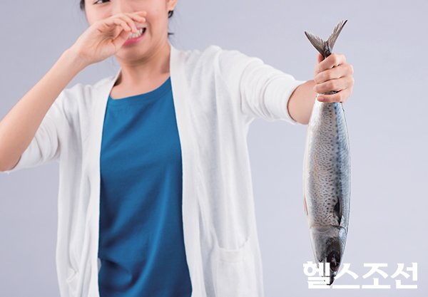생선 이미지