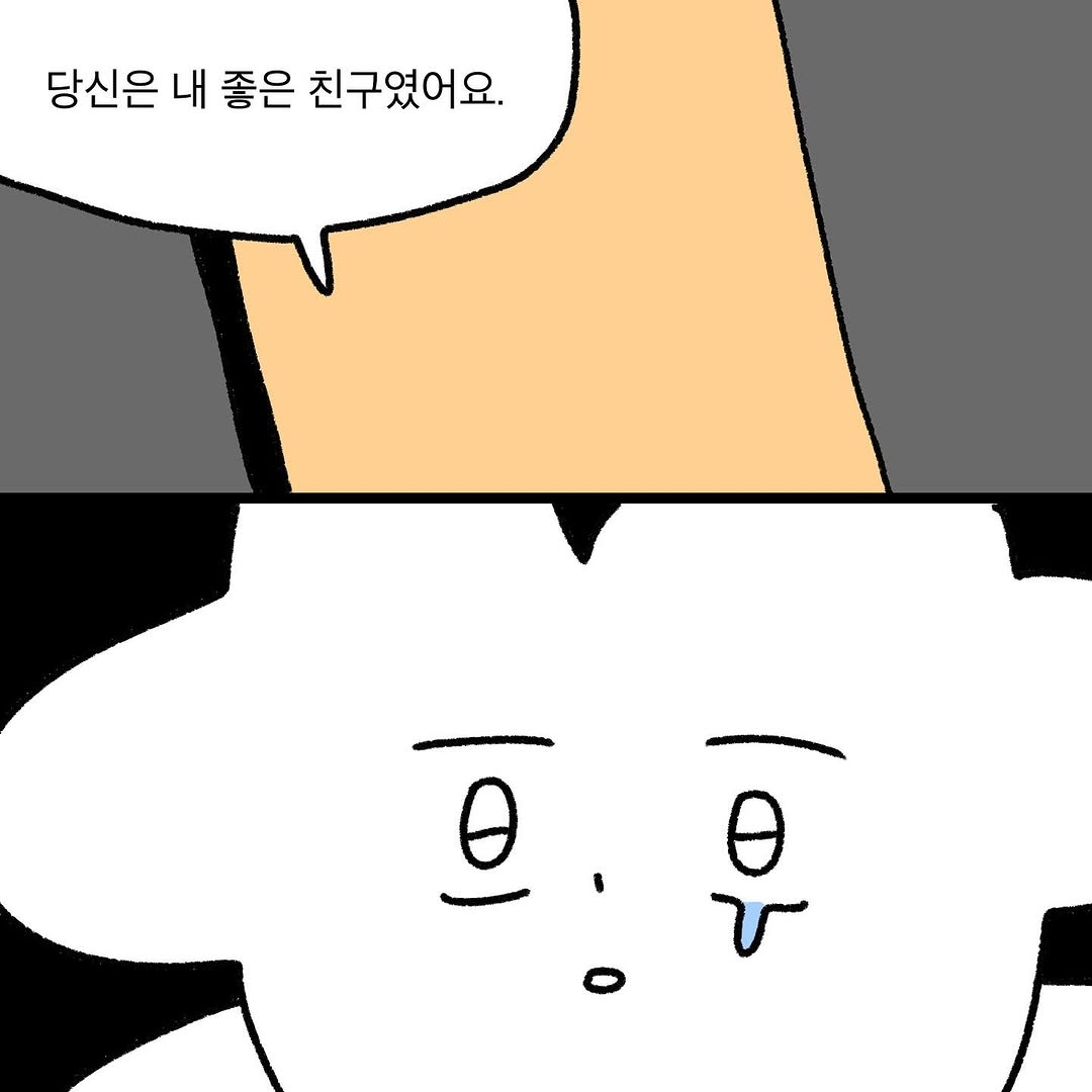 반려동물을 떠나보낸 사람이라면 공감할 인스타툰 | 인스티즈
