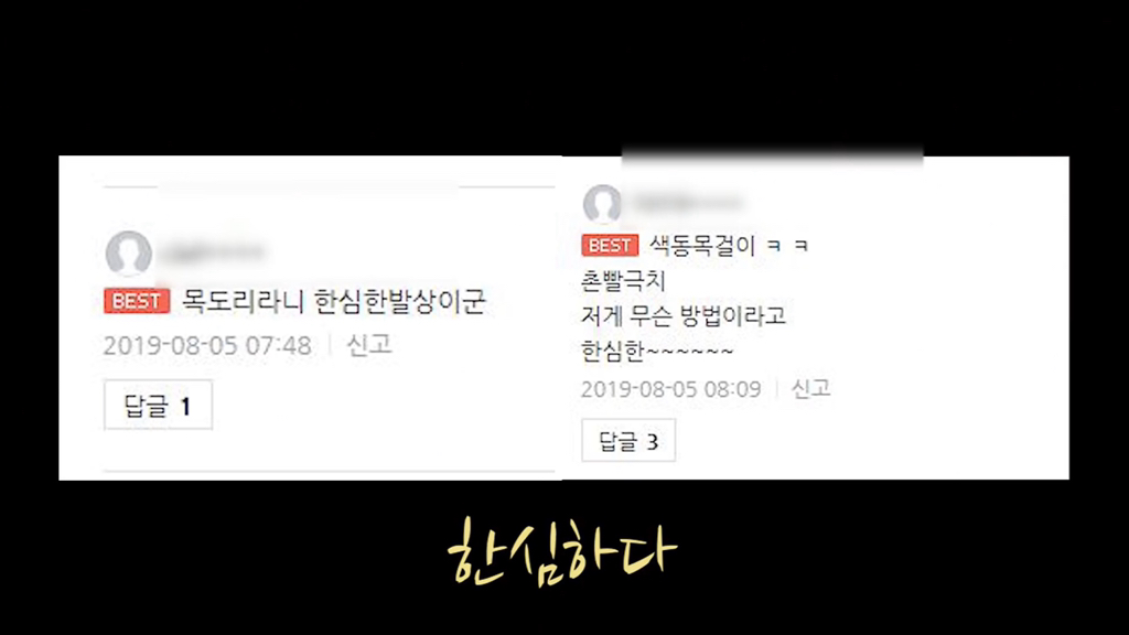 고양이가 자연생태계에 끼치는 심각한 영향(새 사체사진있음) | 인스티즈