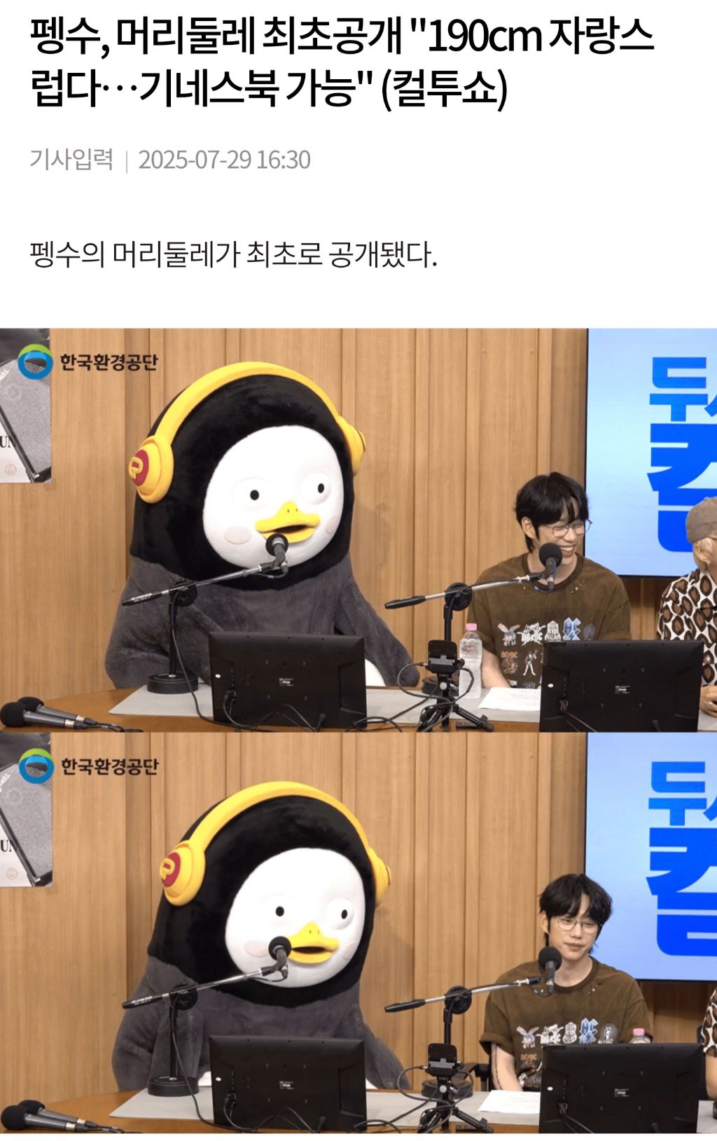 왕 펭수 머리크기 | 인스티즈