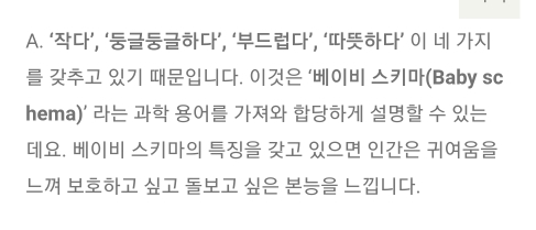 고양이가 귀여운 과학적인 이유 | 인스티즈