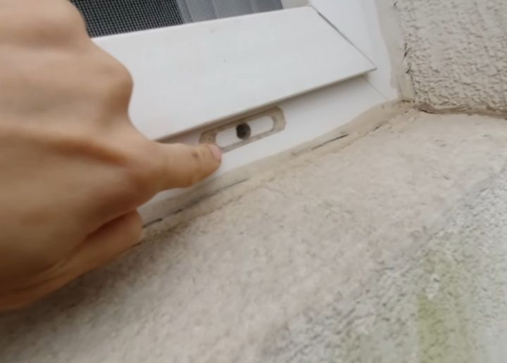 방충망을 연적이 없는데 모기가 자꾸 들어오는 이유 | 인스티즈