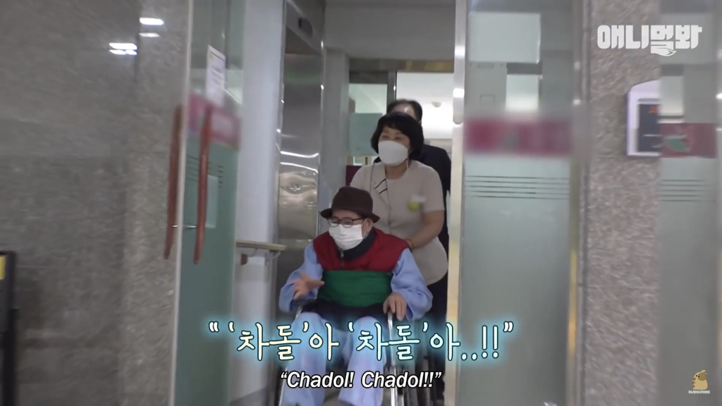 1년만에 자신을 두고 간 주인을 만난 강아지 반응 | 인스티즈