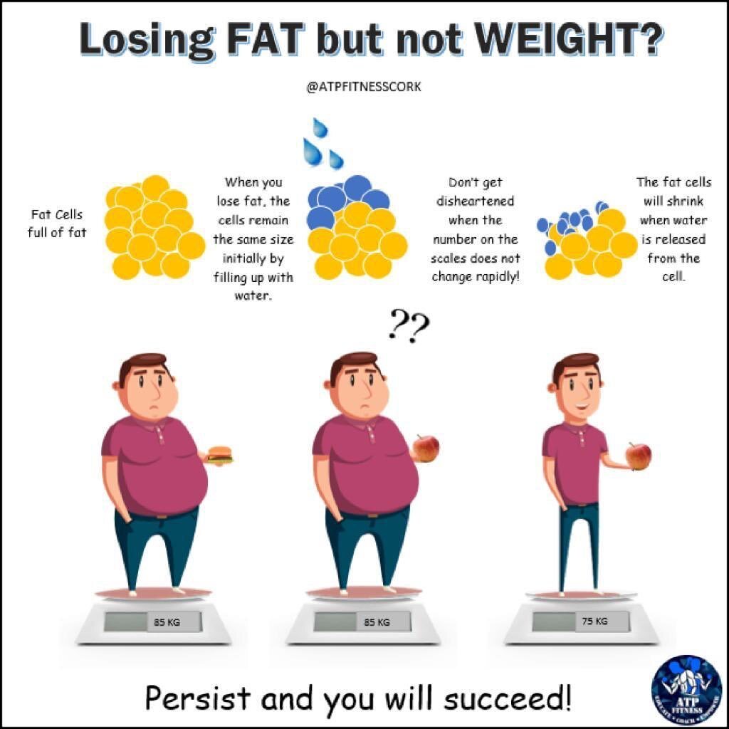 다이어트 하는데 몸무게가 오히려 늘어 | 인스티즈
