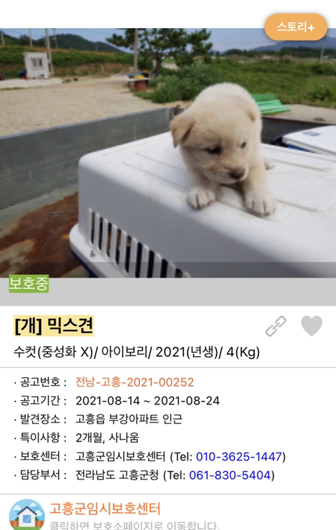 사랑이 느껴지는 포인핸드의 담당자들 | 인스티즈