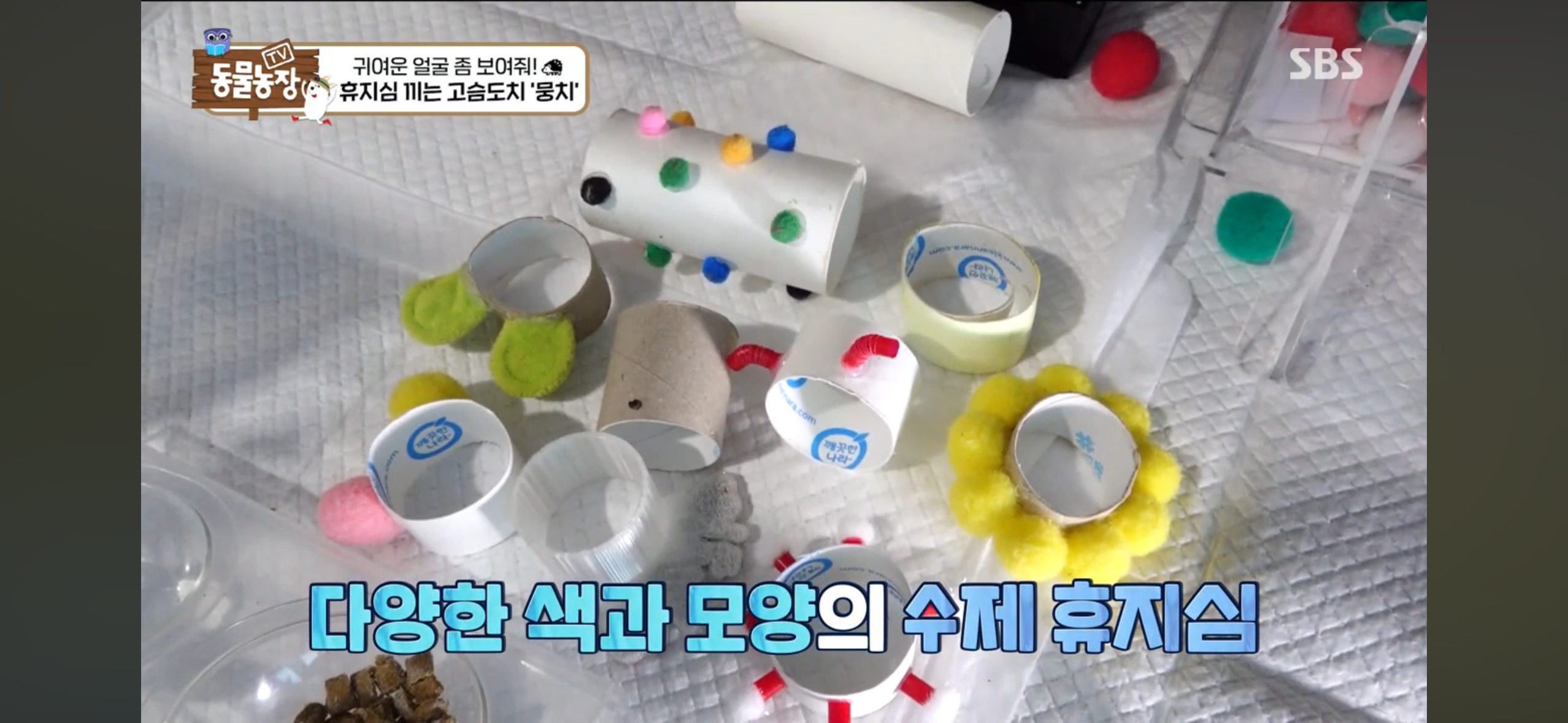 따봉고슴도치 휴지심 좋아도치 | 인스티즈